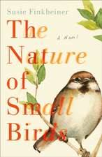 The Nature of Small Birds – A Novel