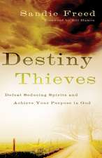 Destiny Thieves – Defeat Seducing Spirits and Achieve Your Purpose in God