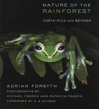 Nature of the Rainforest – Costa Rica and Beyond