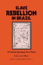 Slave Rebellion in Brazil