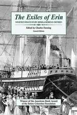 The Exiles of Erin: Nineteenth Century Irish-American Fiction