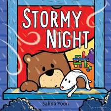 Stormy Night