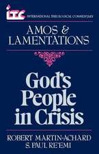 God's People in Crisis: A Commentary on the Book of Amos and a Commentary on the Book of Lamentations