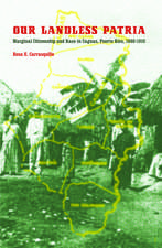 Our Landless Patria – Marginal Citizenship and Race in Caguas, Puerto Rico, 1880–1910