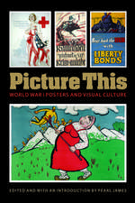 Picture This: World War I Posters and Visual Culture