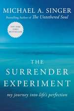 The Surrender Experiment: My Journey Into Life's Perfection