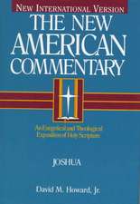 Joshua: An Exegetical and Theological Exposition of Holy Scripture