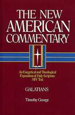 Galatians: An Exegetical and Theological Exposition of Holy Scripture