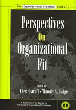 Perspectives on Organizational Fit