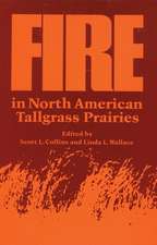 Fire in North American Tallgrass Prairies