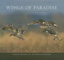 Wings of Paradise: Birds of the Louisiana Wetlands