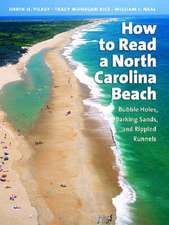 How to Read a North Carolina Beach: Bubble Holes, Barking Sands, and Rippled Runnels