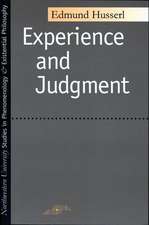 Experience and Judgment