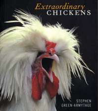 Extraordinary Chickens