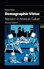 Demographic Vistas – Television in American Culture