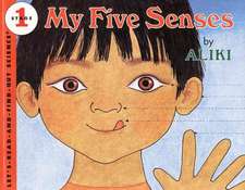 My Five Senses