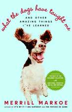 What the Dogs Have Taught Me: And Other Amazing Things I've Learned