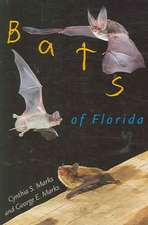 Bats of Florida