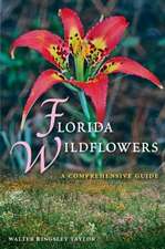 Florida Wildflowers