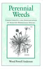 Perennial Weeds: Characteristics and Identification of Selected Herbaceous Species