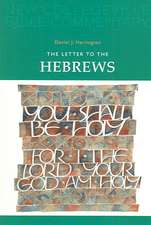 The Letter to the Hebrews