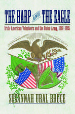 The Harp and the Eagle – Irish–American Volunteers and the Union Army, 1861–1865