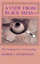 A View From Black Mesa: The Changing Face of Archaeology