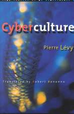 Cyberculture