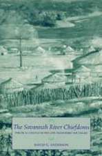 The Savannah River Chiefdoms: Political Change in the Late Prehistoric Southeast