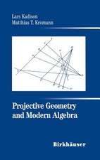 Projective Geometry and Modern Algebra