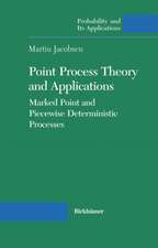 Point Process Theory and Applications