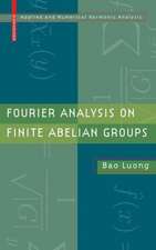 Fourier Analysis on Finite Abelian Groups