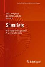 Shearlets: Multiscale Analysis for Multivariate Data