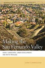 Making the San Fernando Valley