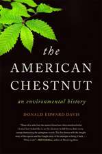 The American Chestnut