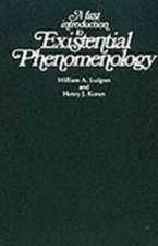 A First Introduction to Existential Phenomenology