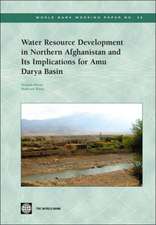 Water Resource Development in Northern Afghanistan and Its Implications for Amu Darya Basin