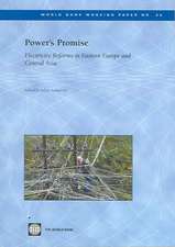 Power's promise: electricity reforms in eastern Europe and central Asia: Working paper 40