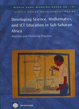 Developing Science, Mathematics, and ICT Education in Sub-Saharan Africa: Patterns and Promising Practices