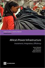 Africa's Power Infrastructure: Investment, Integration, Efficiency