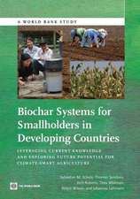 Biochar Systems for Smallholders in Developing Countries