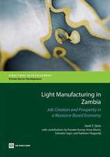 Light Manufacturing in Zambia