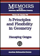 H-principles and Flexibility in Geometry