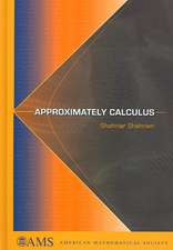 Approximately Calculus