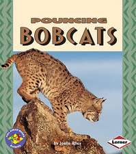 Pouncing Bobcats