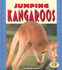 Jumping Kangaroos