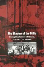 The Shadow Of The Mills: Working-Class Families in Pittsburgh, 1870–1907