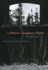 The Physics of Imaginary Objects