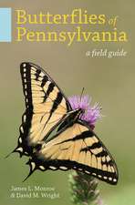 Butterflies of Pennsylvania: A Field Guide