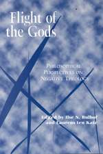 Flight of the Gods – Philosophical Perspectives on Negative Theology